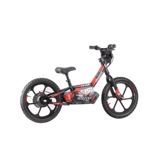 어린이 미니 전기 자전거 안전 경량 Ebike 36V 2.5ah 250W 브러시리스 허브 모터 디스크 브레이크 전기 균형 자전거